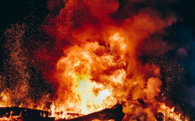 Incendio all’ex zoo. Bertaia. Vi avevo avvisato
