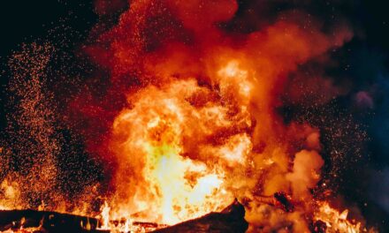 Incendio all’ex zoo. Bertaia. Vi avevo avvisato