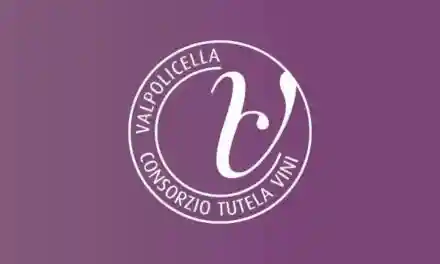 Il Consorzio Valpolicella in laguna per la 3ª edizione di “Venezia Superiore”