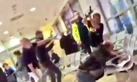 Rissa al Pronto Soccorso. La guardia guarda e gli infermieri intervengono