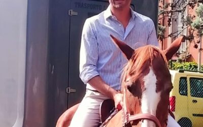 Il Consiglio regionale approva la legge per la cultura del cavallo