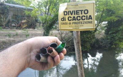 Cartucce  di fucili da caccia sparate in un’area rurale con divieto  