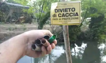 Mio Nonno andava a caccia. Io no