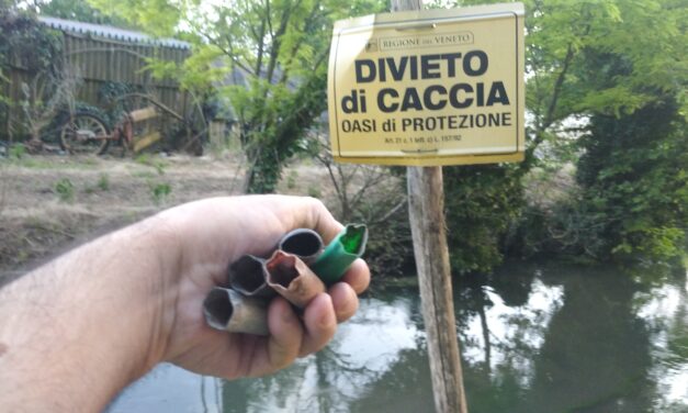 Cartucce  di fucili da caccia sparate in un’area rurale con divieto  