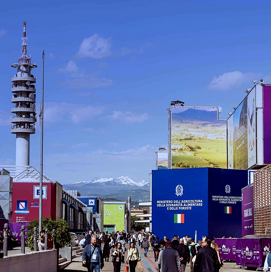 Verona e il Vinitaly, un binomio noto nel mondo