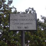 Plinio Codognato. Grande cartellonista e illustratore del ‘900