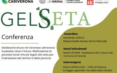 Il 17 maggio la seta ritorna a Verona