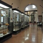 Isola della Scala: Notte internazionale dei Musei con Catullo