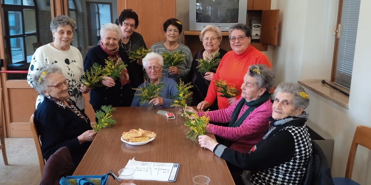 Anziani fragili ma autonomi: nell’Ovest veronese arriva la domiciliarità avanzata, il co-housing e il custode sociale