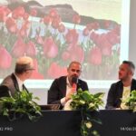 Turismo, vino, pesca e olio punti di forza del Garda veronese