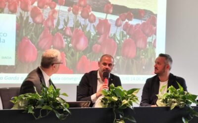 Turismo, vino, pesca e olio punti di forza del Garda veronese