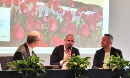Turismo, vino, pesca e olio punti di forza del Garda veronese