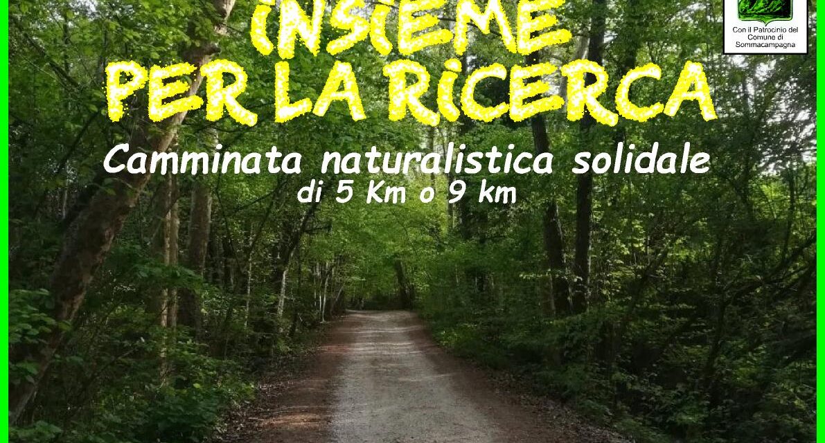 Domenica 15 giugno “Camminiamo insieme per la ricerca” a Custoza