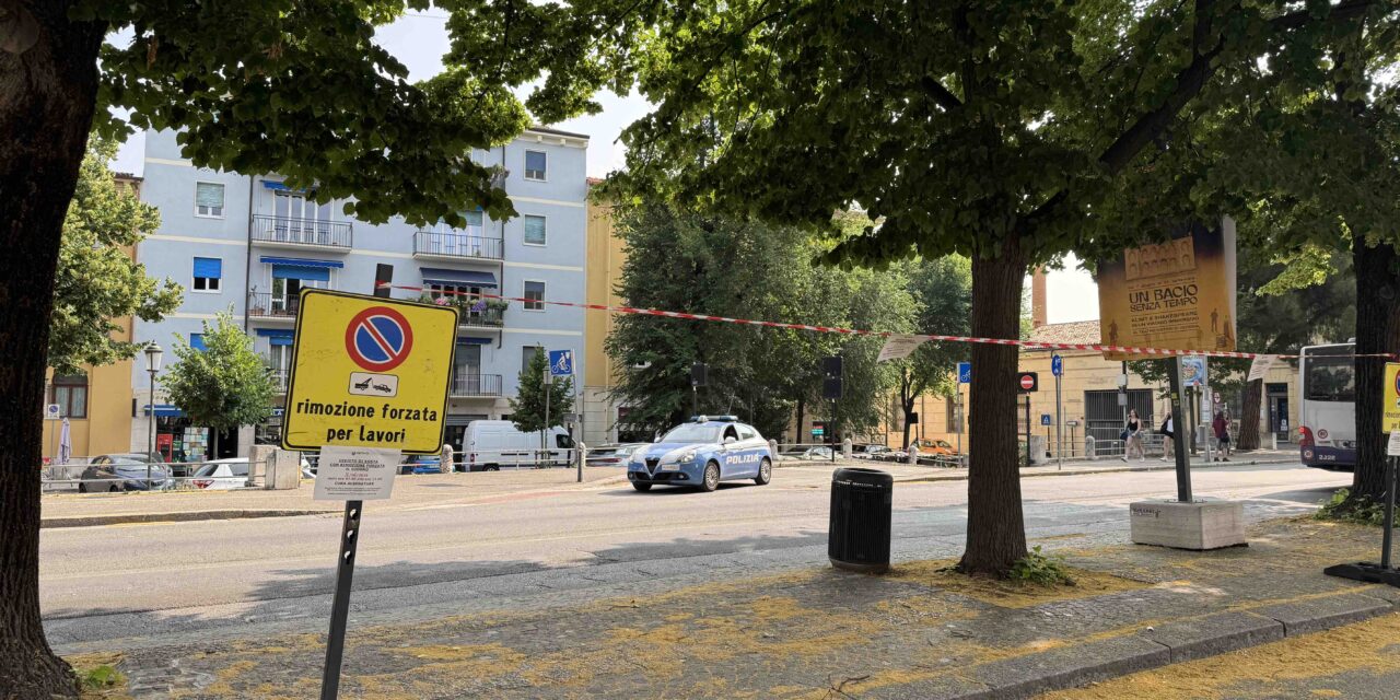Due tigli a rischio crollo, abbattimento urgente in via Pallone