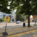 Due tigli a rischio crollo, abbattimento urgente in via Pallone