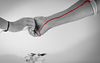 Donate il sangue! L’appello di Avis, Asfa e Fidas e di Zaia