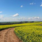 Tosi. Una vittoria del modello agricolo italiano