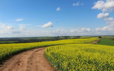 Tosi. Una vittoria del modello agricolo italiano