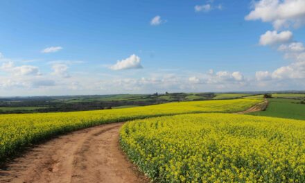Tosi. Una vittoria del modello agricolo italiano