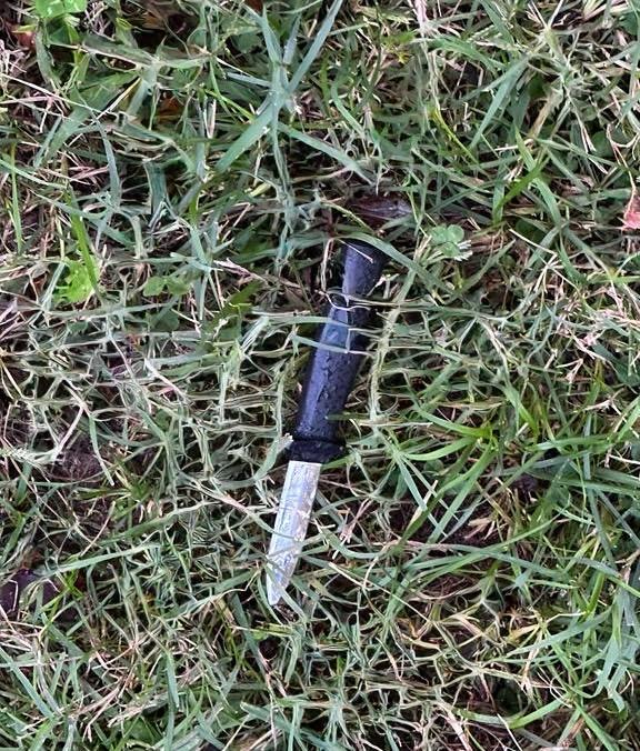 15b40f72 7ef2 4c7d b4ca 9a35b85a8213