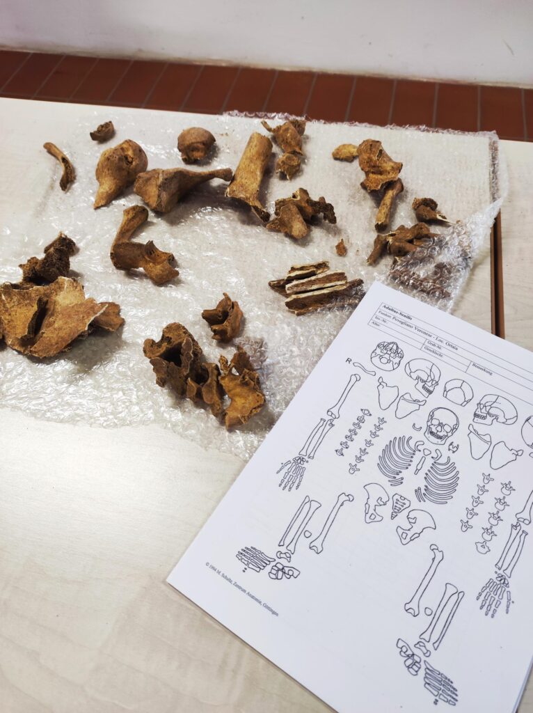 I Celti di Povegliano raccontati dall'Università di Monaco. Tedeschi: "Villa Balladoro si dimostra centro di ricerca archeologica europea" 1 1751833339592