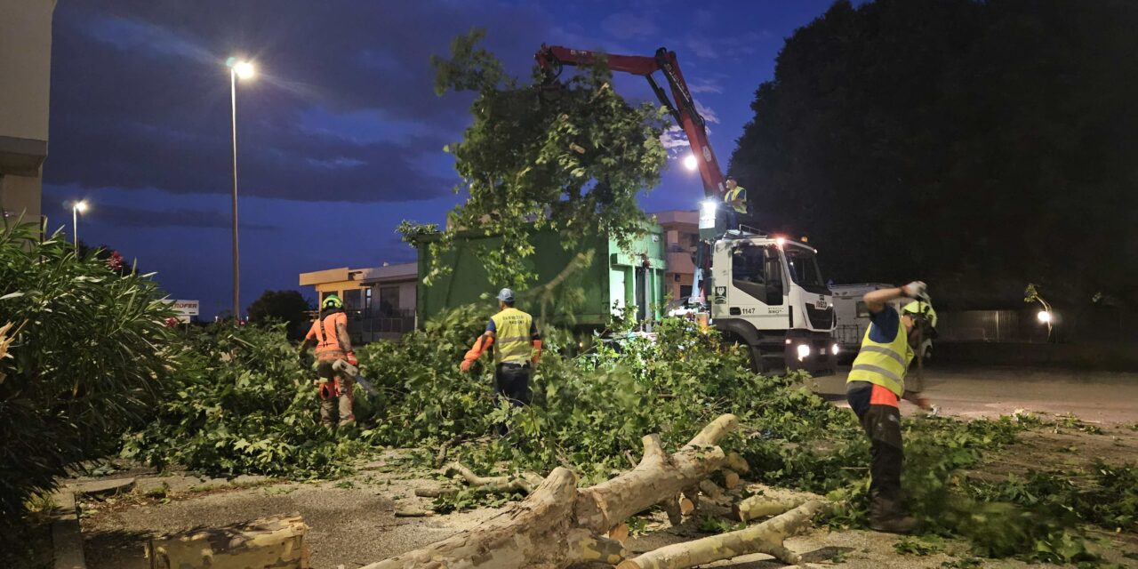 Maltempo: AMIA al lavoro per ripristinare parchi e giardini dopo il violento temporale