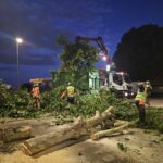 Maltempo: AMIA al lavoro per ripristinare parchi e giardini dopo il violento temporale