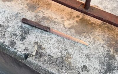 Zavarise: “Violenza nelle strade di Verona, il PD risponde con letture in piazza. È il teatro dell’assurdo”