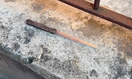 Zavarise: “Violenza nelle strade di Verona, il PD risponde con letture in piazza. È il teatro dell’assurdo”