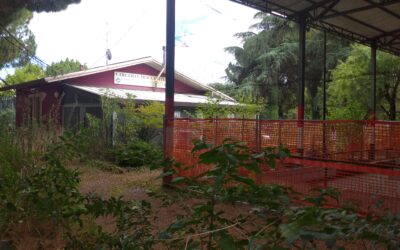 Ca’ di David. Nell’abbandono il Circolo bocciofilo