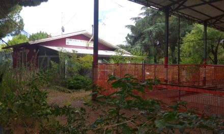 Ca’ di David. Nell’abbandono il Circolo bocciofilo