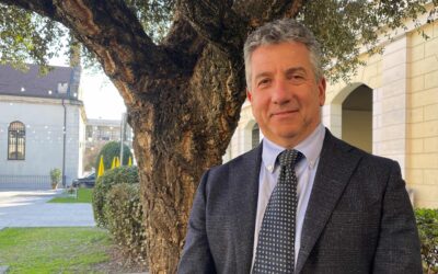 Il caso del Cedro di Piazza Bra riaccende il dibattito sulla cura degli alberi in città: l’appello degli agronomi e forestali veronesi