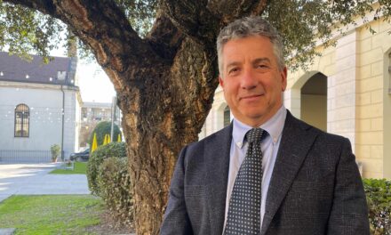 Il caso del Cedro di Piazza Bra riaccende il dibattito sulla cura degli alberi in città: l’appello degli agronomi e forestali veronesi