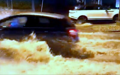 Pioggia con vento a 100 all’ora, nessun ferito ma strage di alberi e auto colpite