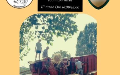 Povegliano, domenica 20 luglio rievocazione della trebbiatura