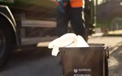 Carnevale in città, AMIA schiera la task force: operatori e mezzi in azione per il Venerdì Gnocolar