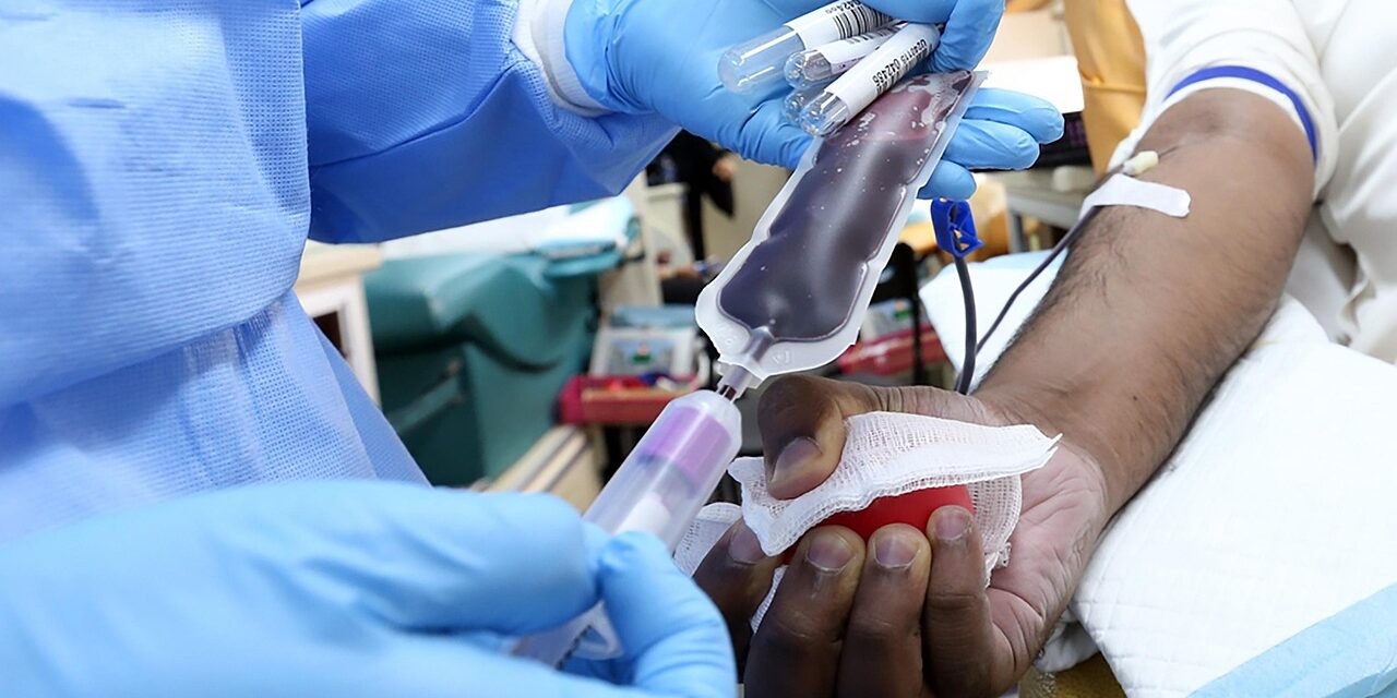 Test anti West Nile nelle donazioni di sangue in Veneto