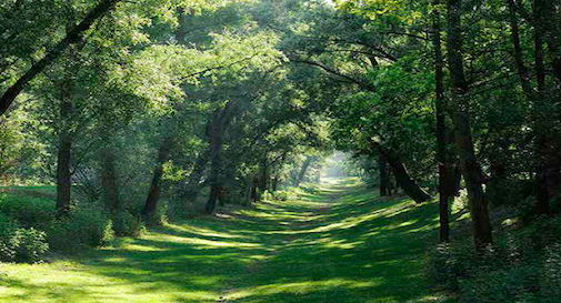 Garantismo & Antifascismo