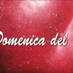 “La domenica del pesco”: online il nuovo video-bollettino settimanale dedicato alla coltivazione della pesca