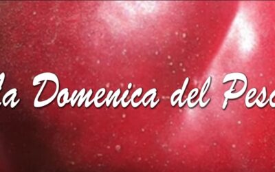 “La domenica del pesco”: online il nuovo video-bollettino settimanale dedicato alla coltivazione della pesca