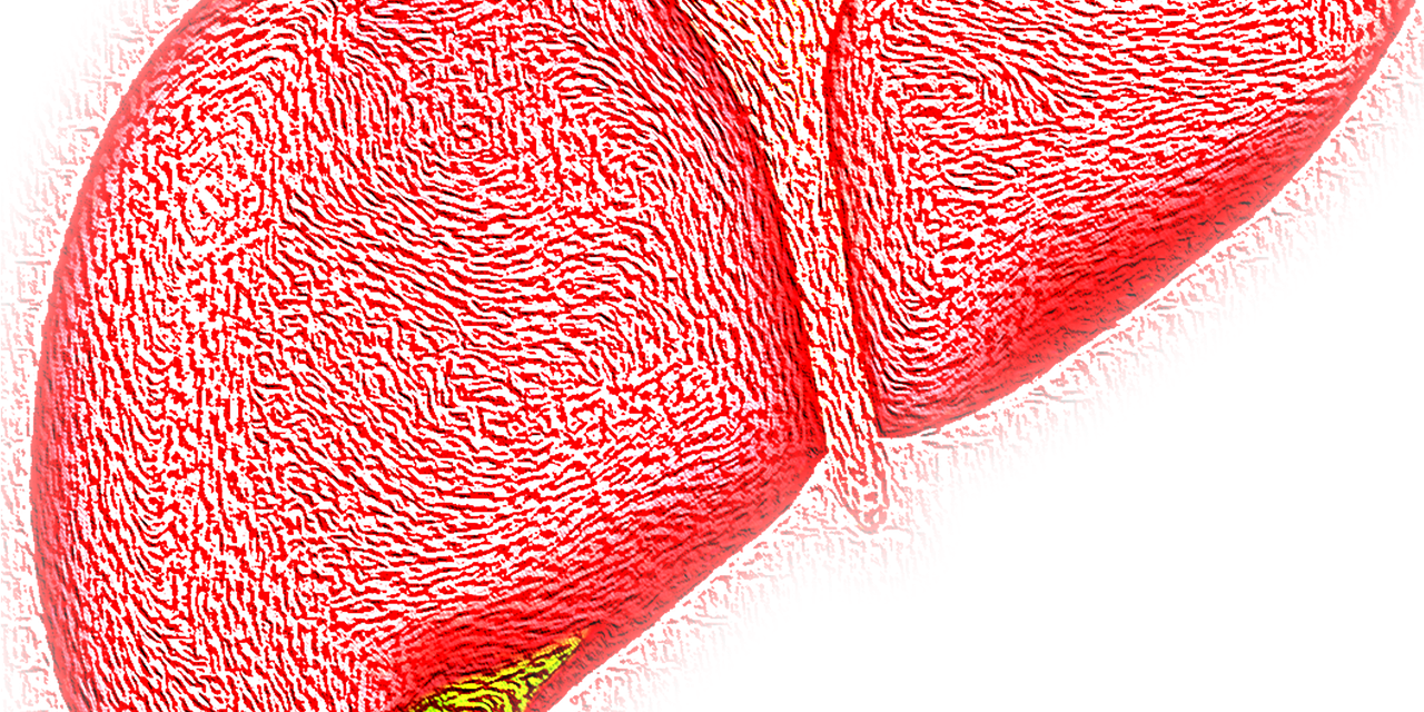 28 luglio. Giornata mondiale contro le Epatiti