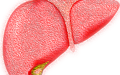 28 luglio. Giornata mondiale contro le Epatiti