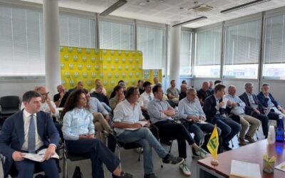 Una buona vendemmia mitiga le preoccupazioni per i dazi