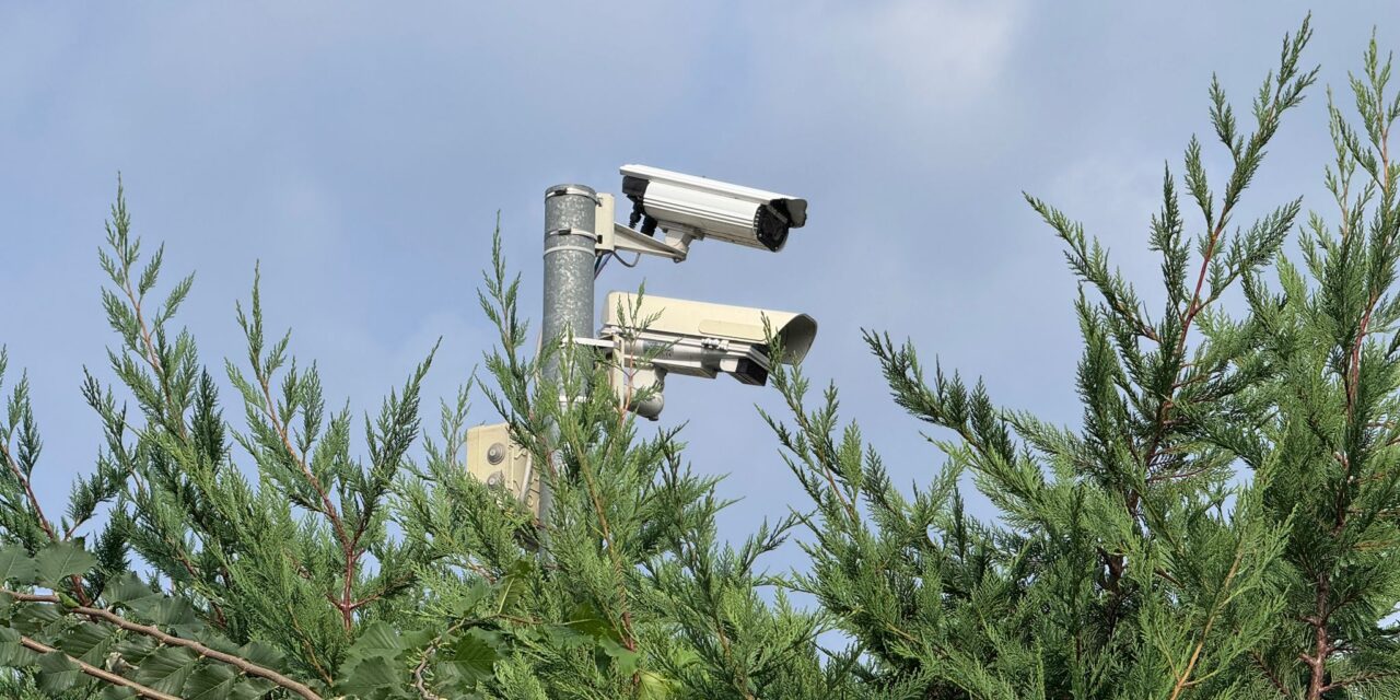 Infrazioni semaforiche: poche violazioni rilevate, ma già un caso di sospensione patente per recidiva