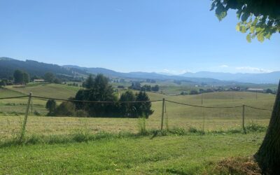Quando il riscaldamento climatico favorì la vita in montagna