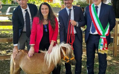La mostra dei cavalli Haflinger a Sommacampagna