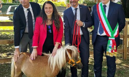 La mostra dei cavalli Haflinger a Sommacampagna
