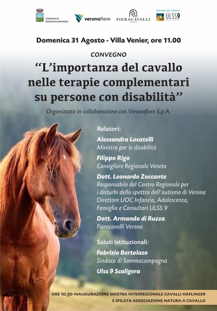 WhatsApp Image 2025 08 31 at 09.13.26