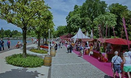 mercatino peschiera1