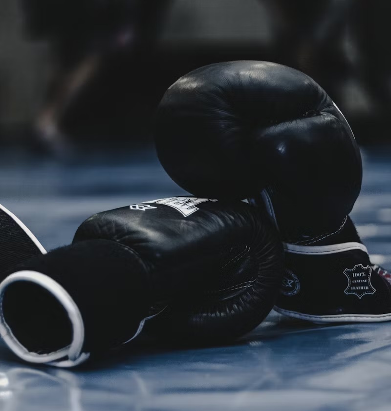 photo 1549719386 74dfcbf7dbed copia